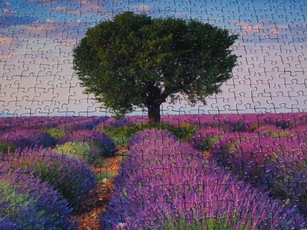 Puzzle pieces fitting together to form a tree in a beautiful field, representing how a shareholders agreement brings together the components of corporate governance
