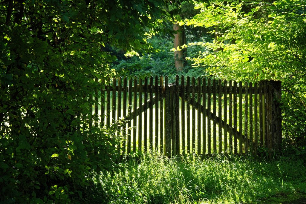 A wooden fence leading into a green meadow