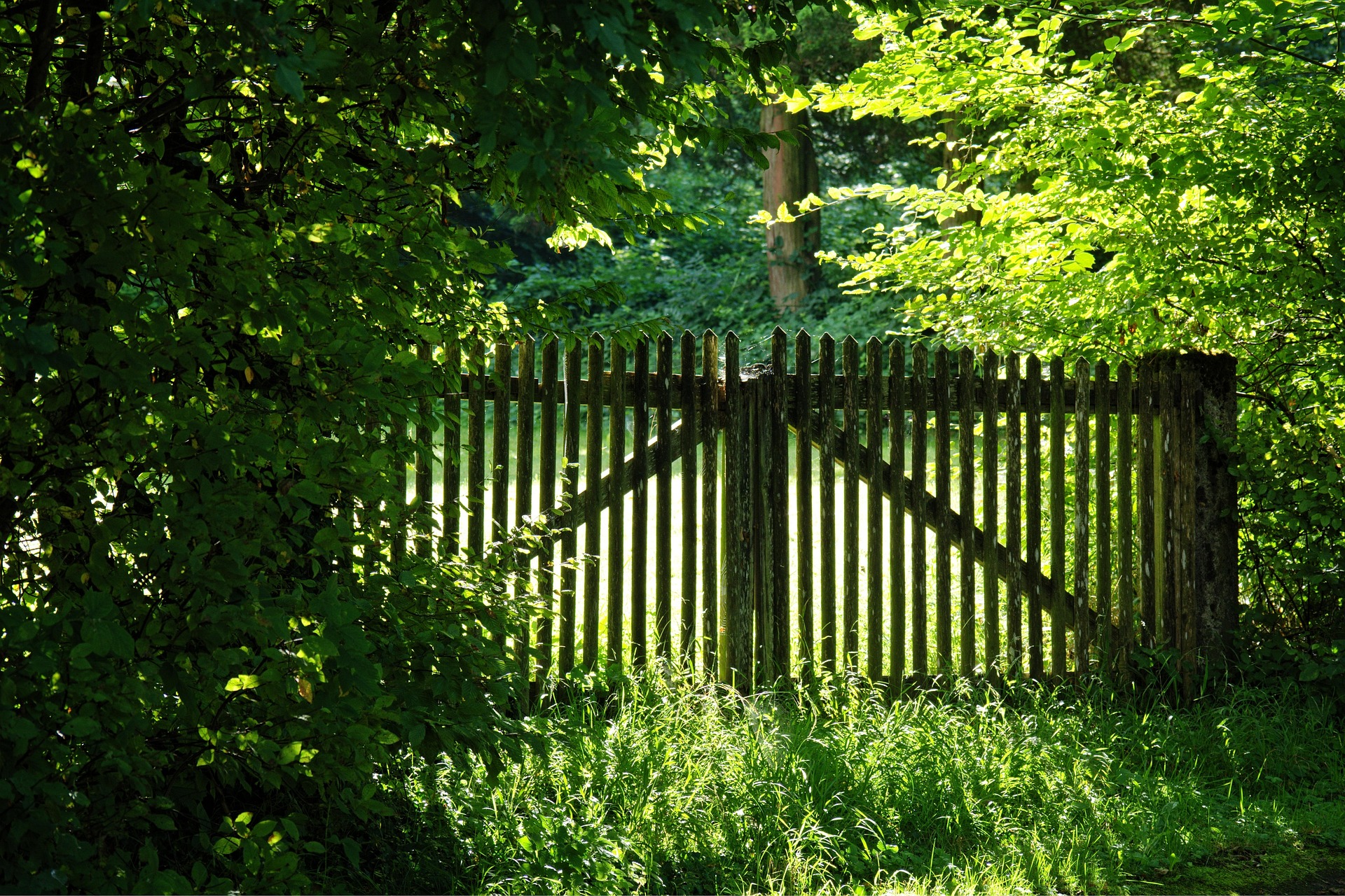 A wooden fence leading into a green meadow